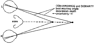 eyes converging