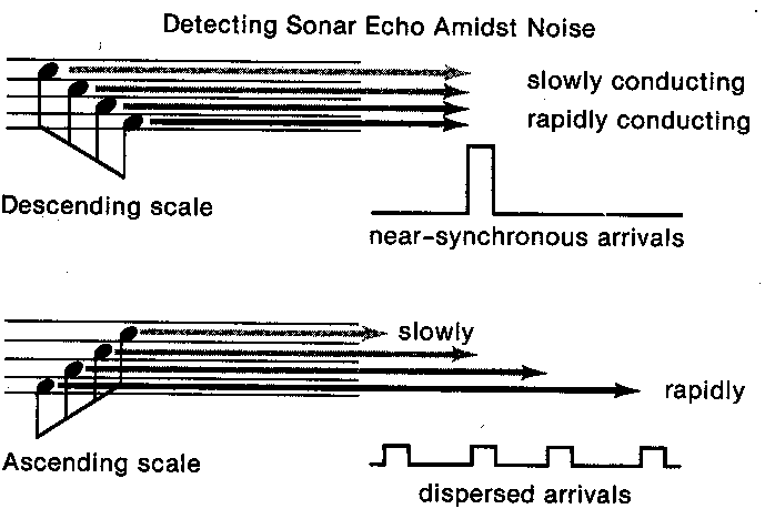 ascent and descending scale