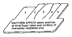 Matthew effect on fingers