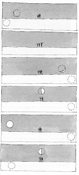 lunar cycle