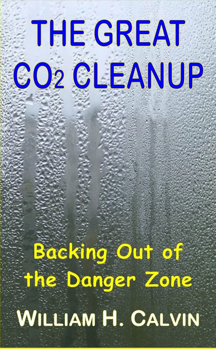 Click to download PDF of book;<br> hard copies available from Amazon.com.