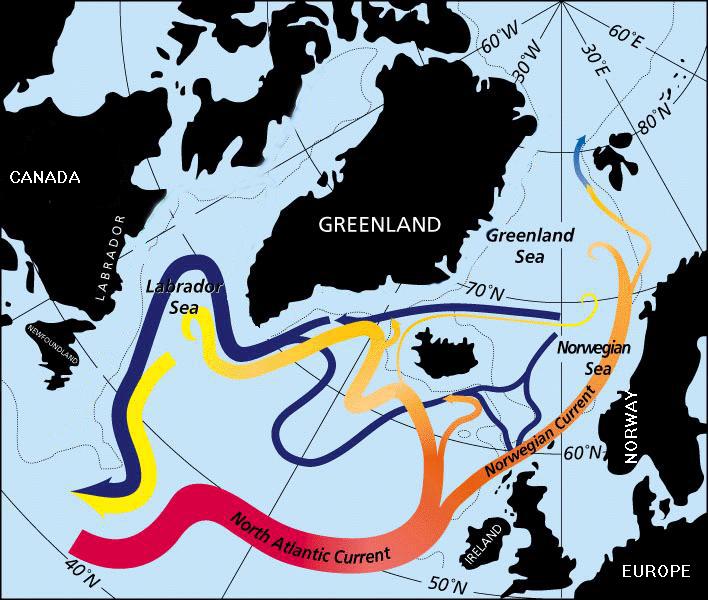The North Atlantic Current (modified from OCEANUS Fall/winter 1996) showing the warm surface currents (red-to-yellow as they lose heat) and the cold deep currents formed in the Greenland and Labrador Seas by the flushing of surface waters.